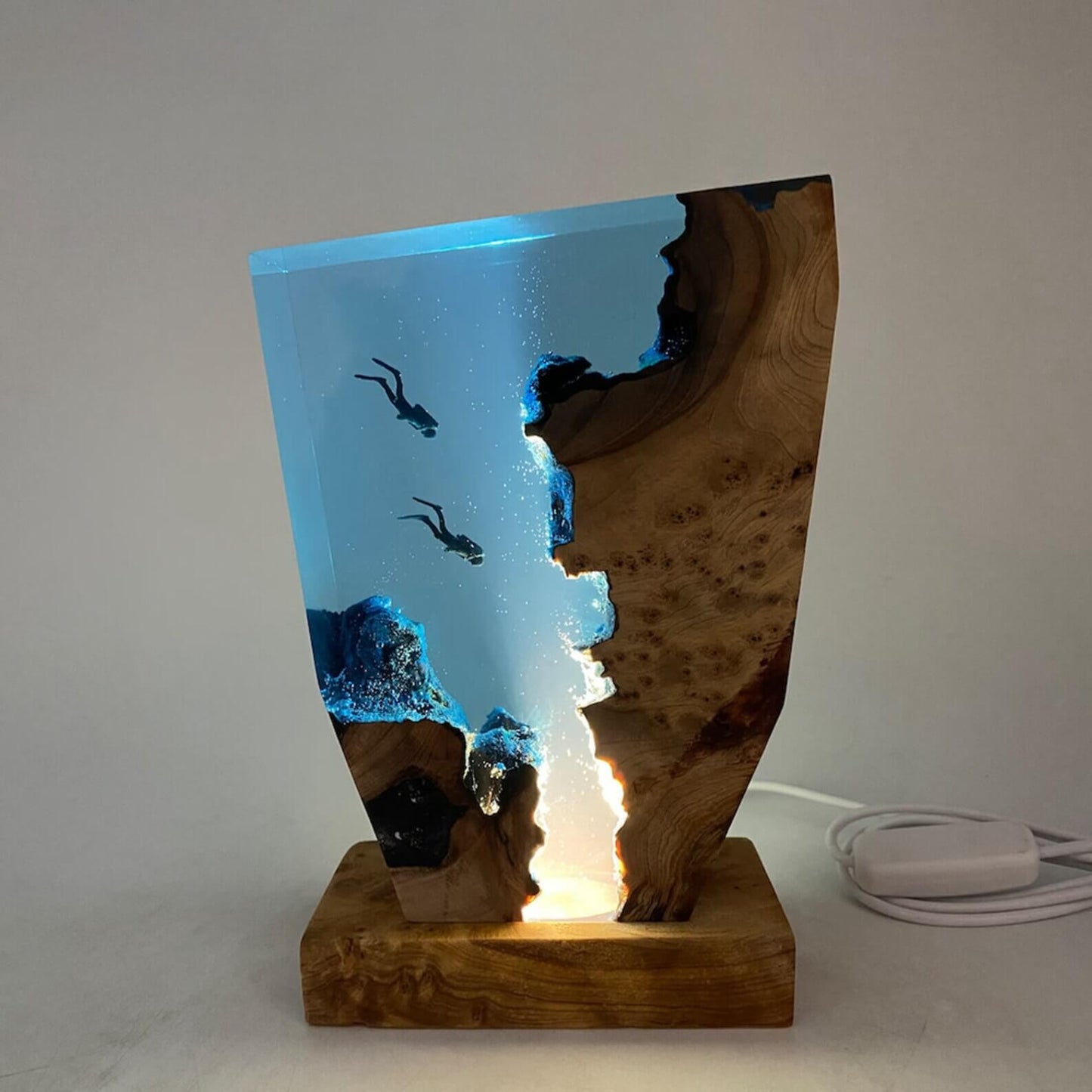 Wooden Resin Night light